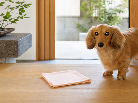 Pet Paw Cleaning Towel